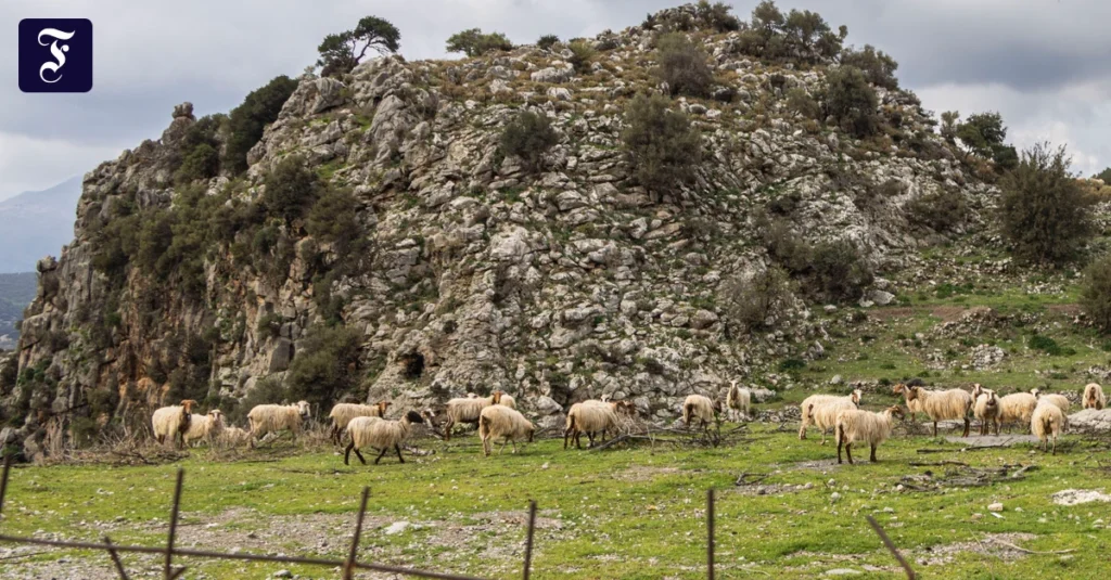 Escândalo Agrário Coloca Governo Grego em Apuros