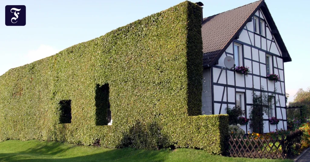 Segredos das Azenhas da Eifel: Encantos Naturais Revelados