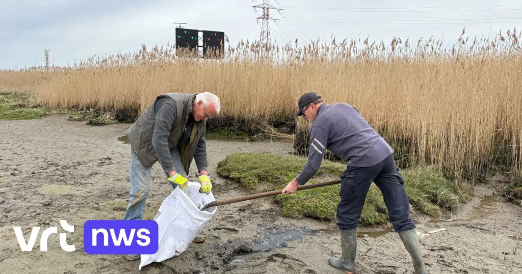 Sem novos derrames de petróleo em áreas naturais do porto
