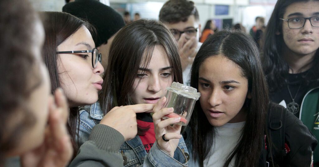 Inscrições Abertas para Visitas Guiadas: Apoio aos Jovens na Escolha