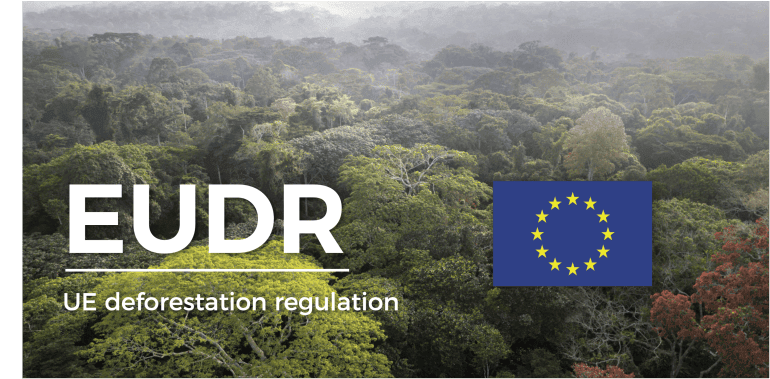 Novas regras europeias contra a desflorestação