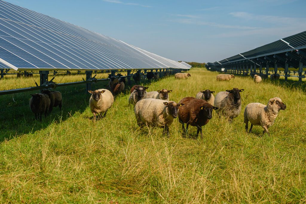 Dez milhões de euros para painéis solares