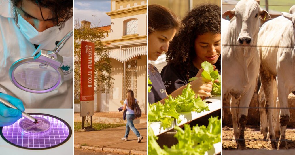 Ciência agrícola brasileira celebra 125 anos