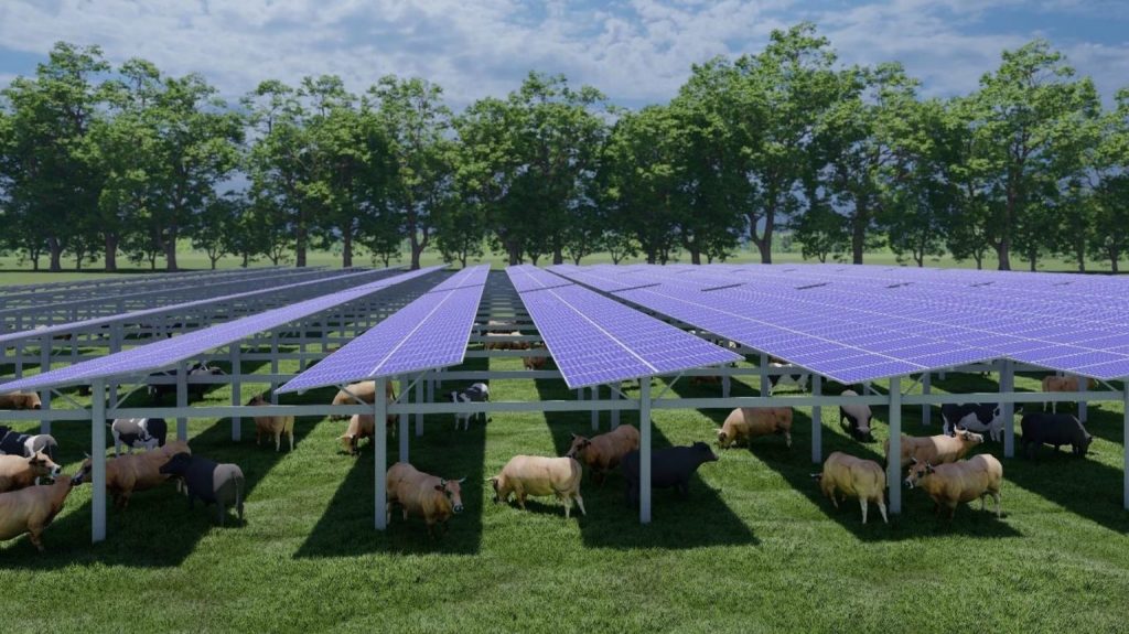 Novos concursos para centrais solares