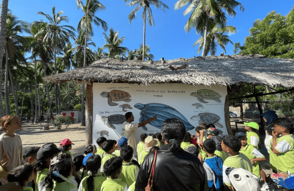 Tartaruga gigante recolhe plástico em Timor-Leste