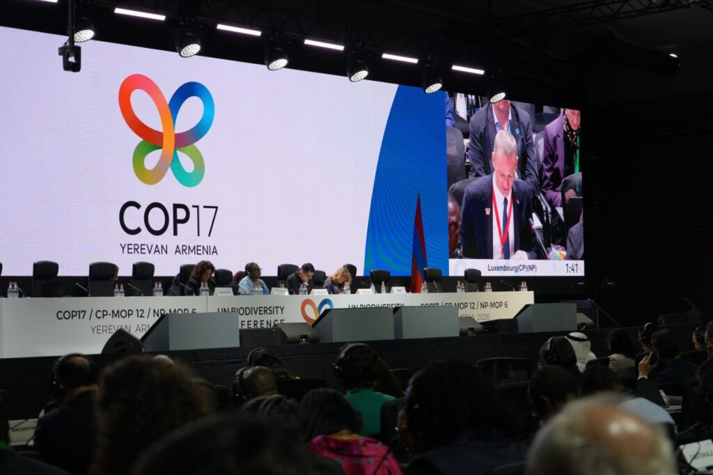Milhões para proteger natureza tropical