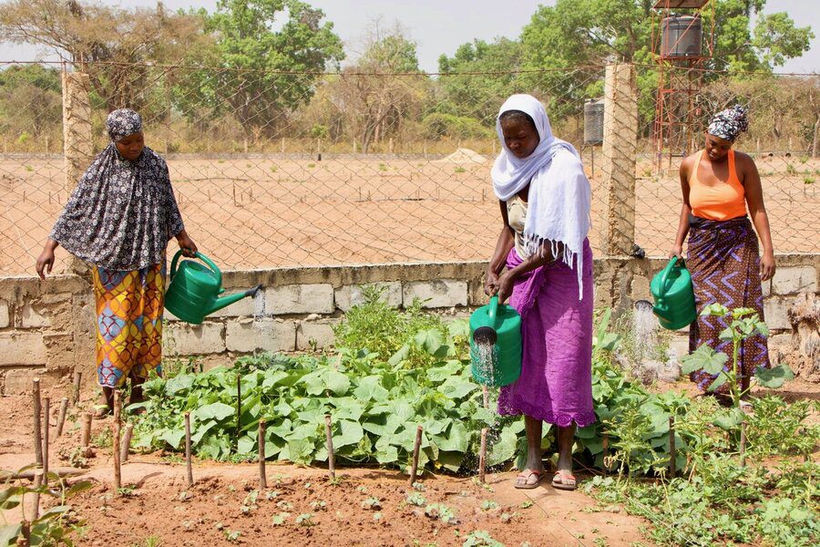 Segurança alimentar transforma Guiné-Bissau